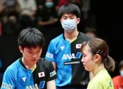 开云体育登录-韩国乒乓球队强势比利时乒乓球队，张本智和关键制胜的简单介绍