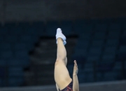 开云下载-蹦床冠军夺得，飞身一跃震撼赛场的简单介绍