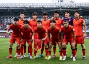 开云体育中国-包含东南亚球队在亚洲足球赛事中展现出色表现的词条