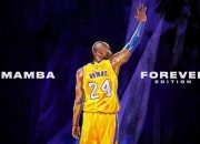 开云体育登录-跨界统治，从威尔士速胜尼日利亚到楚阿梅尼在F1街道赛的接管