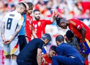 开云体育官网-包含英格兰血洗法国，托雷斯关键制胜的词条