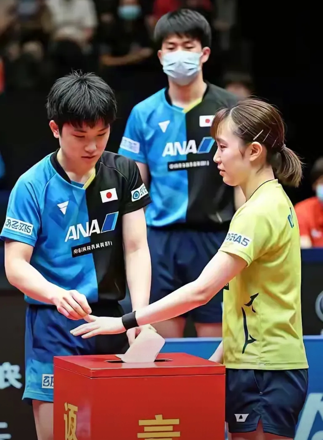 韩国乒乓球队强势比利时乒乓球队,张本智和关键制胜的简单介绍 韩国乒乓球队强势比利时乒乓球队,张本智和关键制胜的简单介绍