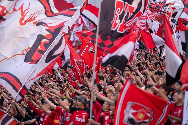 诺里奇客场三分入囊,保级压力有所缓解 诺里奇客场三分入囊,保级压力有所缓解