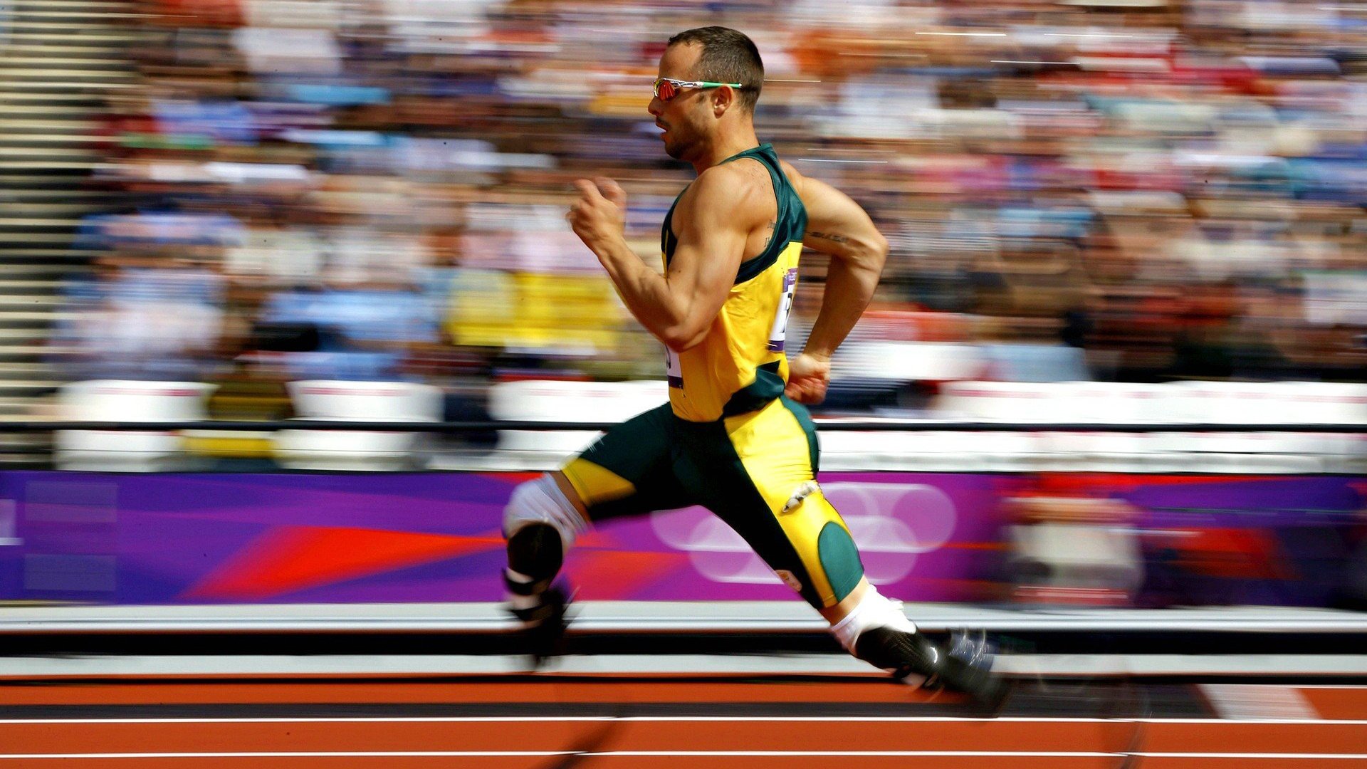 从温网荣光到戴维斯杯绝杀，辛纳如何成为意大利网球的关键先生